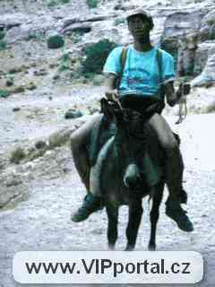 Don Chichote de la Sranda
